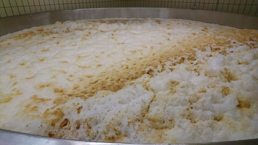 發(fā)酵啤酒可以不使用啤酒酵母嗎？