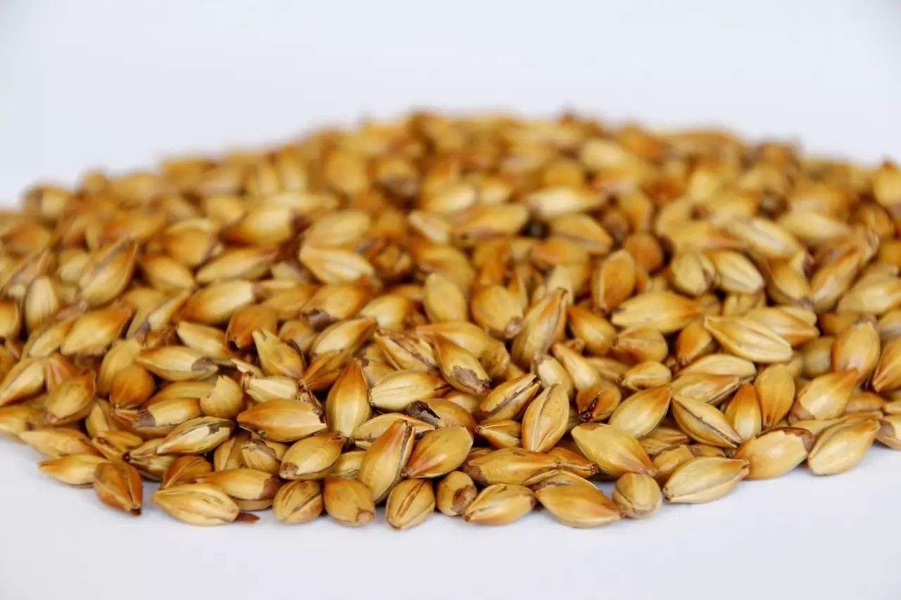 做精釀啤酒，如何選擇合適的粉碎機？