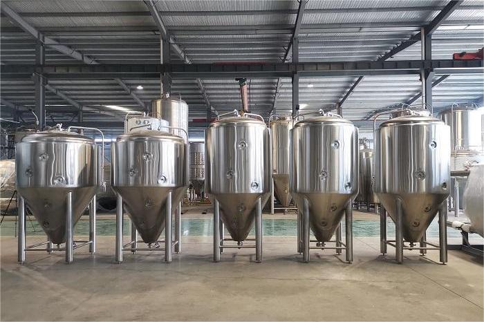 主發(fā)酵過程中有哪些關鍵要素？