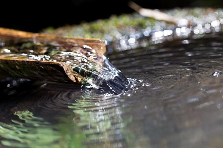 做精釀啤酒，如何處理釀造用水？