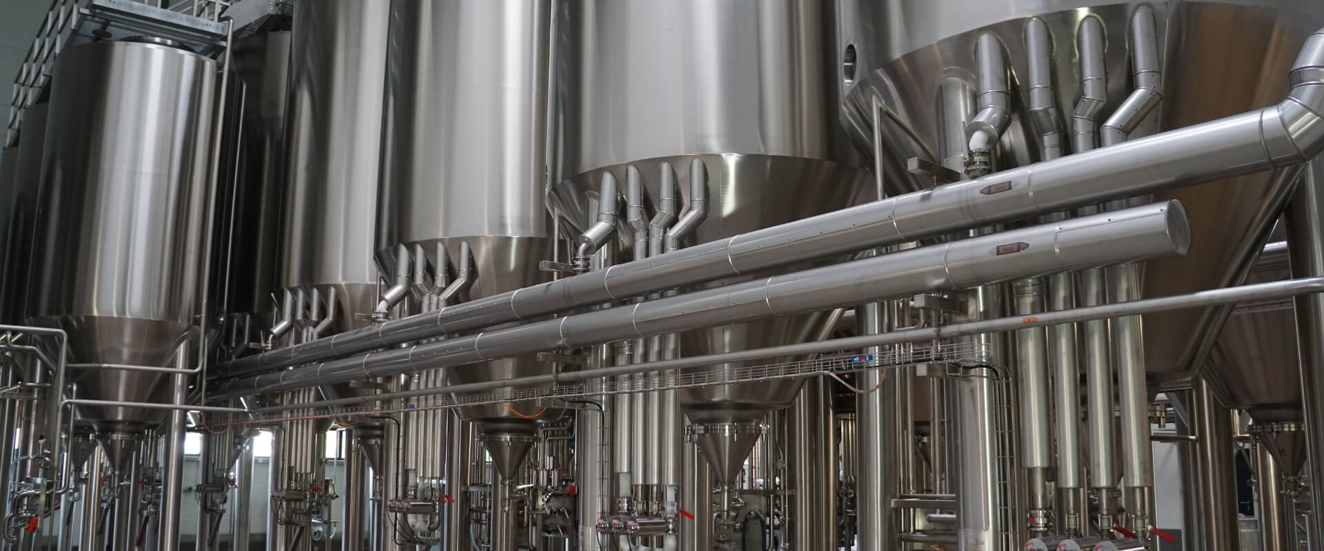 主發(fā)酵的工藝要點(diǎn)是什么？