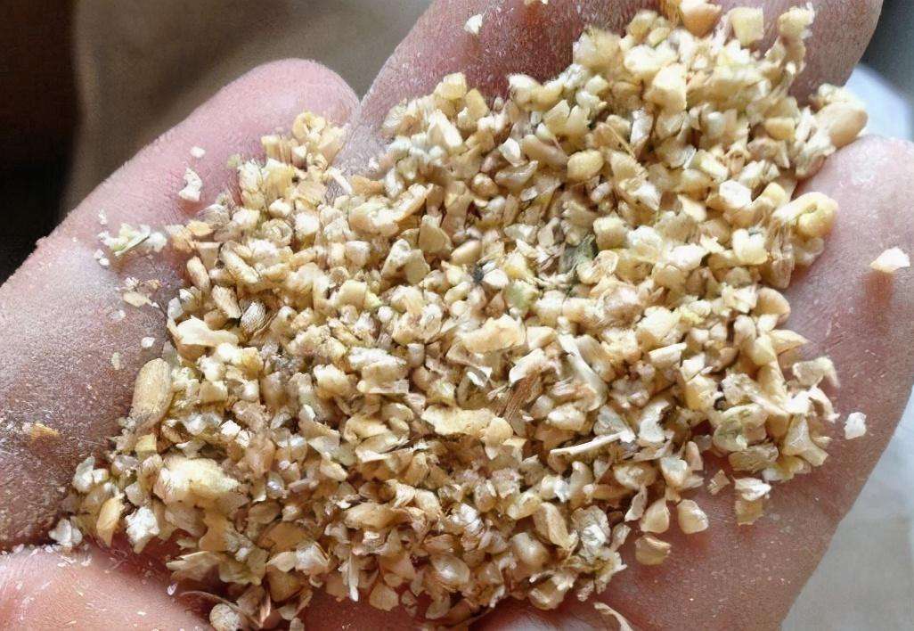 做精釀啤酒，如何更好地進(jìn)行麥芽粉碎呢？