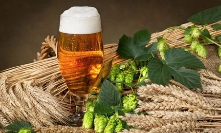 精釀啤酒中，如何選擇恰當(dāng)?shù)慕湻椒ǎ?> </a>
    </dt> 
    <dd> 
     <h4><a href=